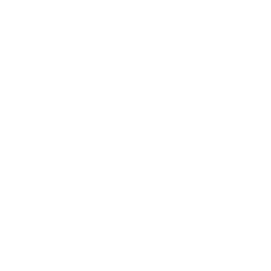 Village of Spring Valley logo